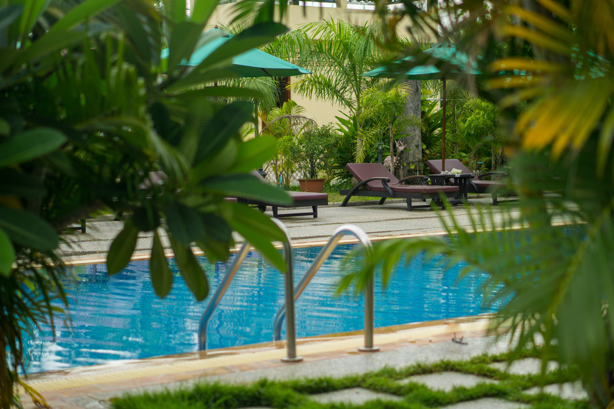Angkor Magic Tree Hotel Siem Reap Extérieur photo